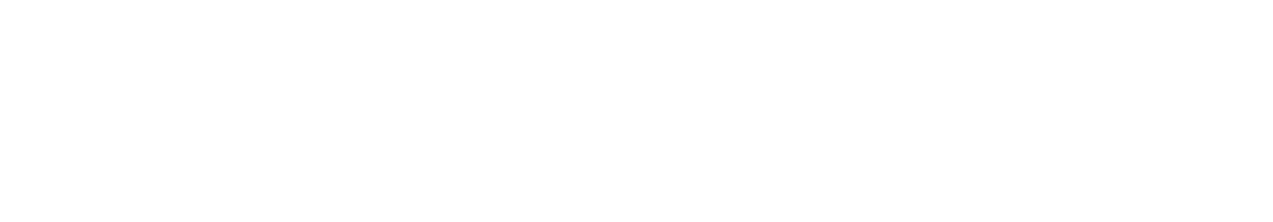veneboer caravans